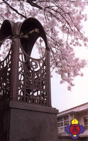 桜満開の正門